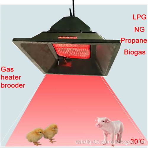 Biogas poultry incubator chicken brooder for sale THD2608
